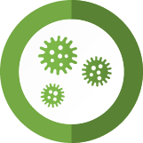 Mold Inspection Crew