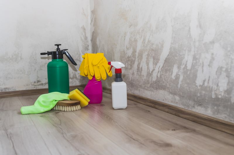 Attic Mold Remediation in Bergen County, NJ