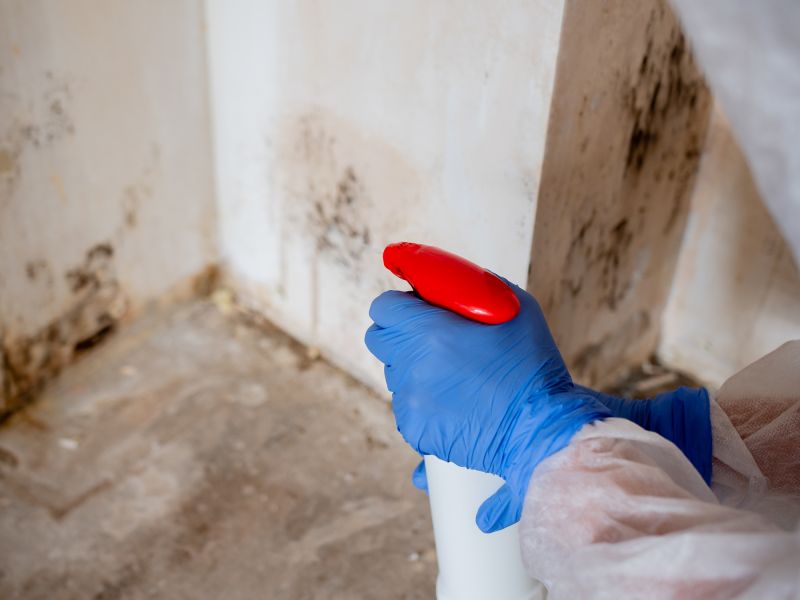 Basement Mold Remediation in Frisco, TX