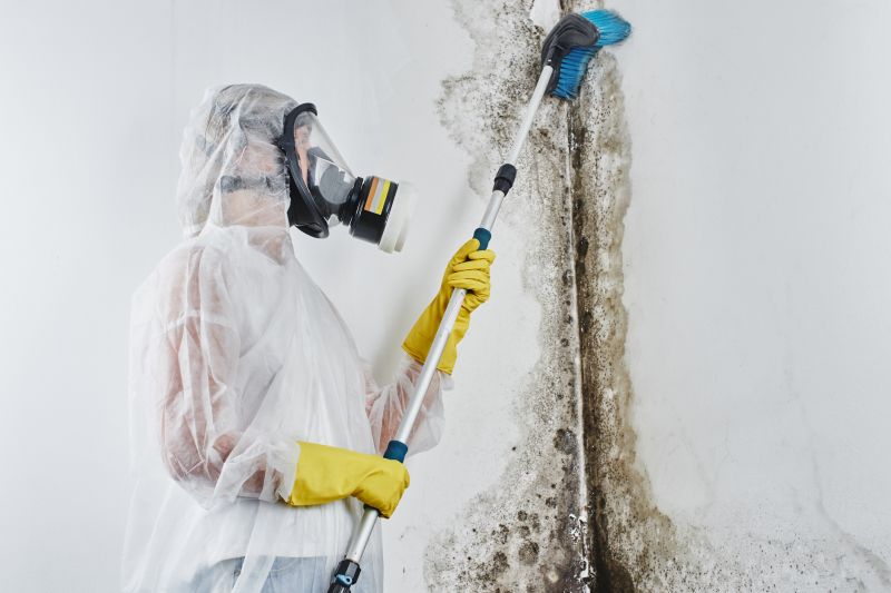 Black Mold Remediation in West Palm Beach, FL