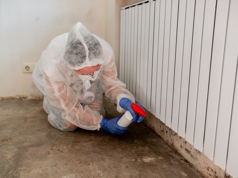 Garage Mold Remediation in Bergen County, NJ