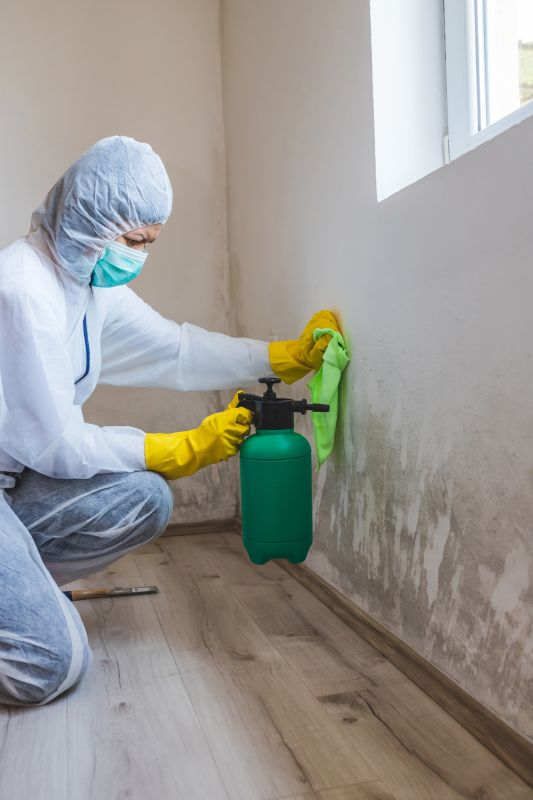 Mold Abatement Service in Fort Lauderdale, FL