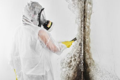 Mold Abatement Service in Jupiter, FL