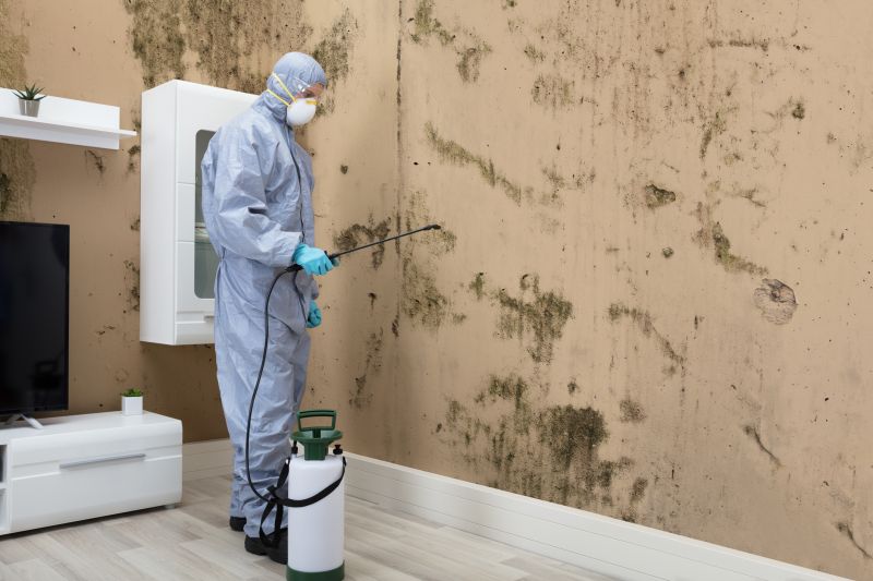 Mold Detection in Delray Beach, FL