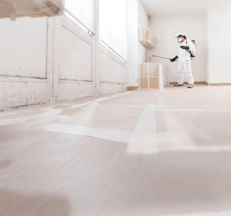 Mold Mitigation Service in Boca Raton, FL