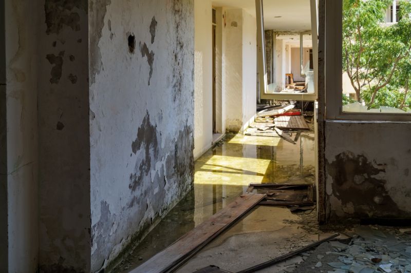 Water Damage and Mold