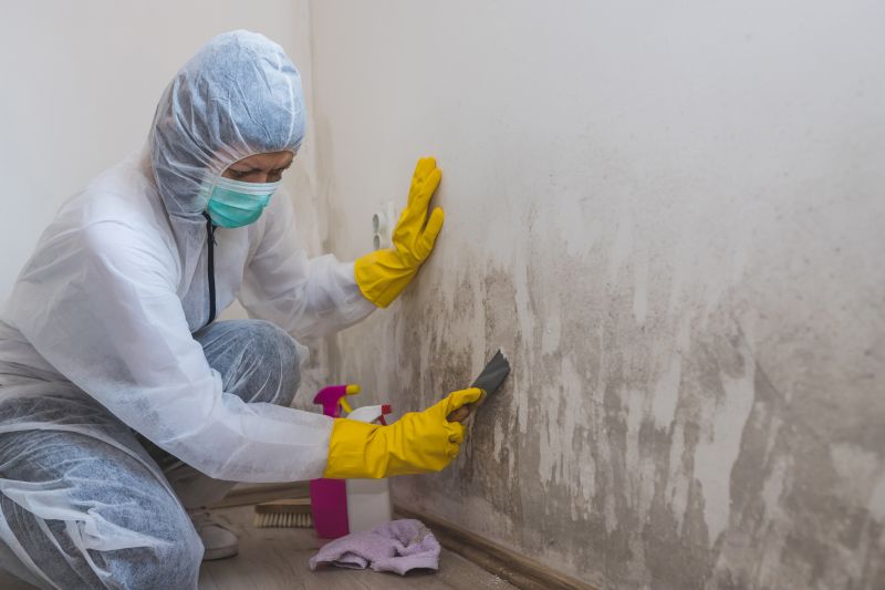 Mold Removal in Frisco, TX
