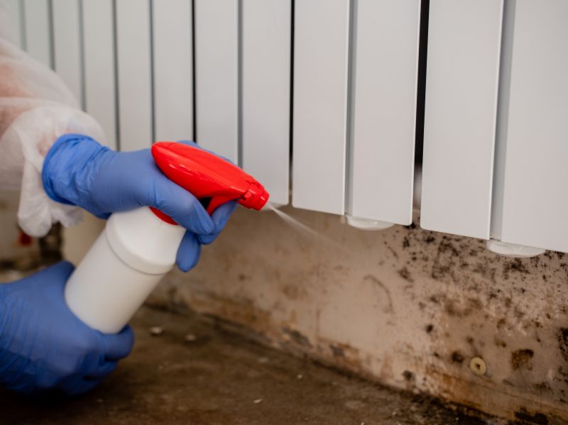 White Mold Mitigation in West Palm Beach, FL