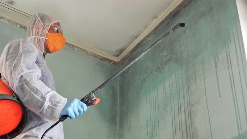 White Mold Mitigation in Fort Lauderdale, FL