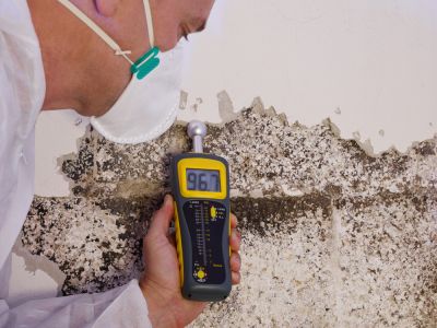 Mold Inspection And Testing, Mold Inspection And Testing, Missouri